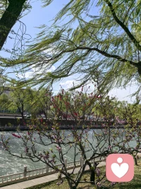 看清一本书上的字，并不需要满满一落地窗的光亮；听清一段动人的旋律，也不需要整个世界的安静。配图