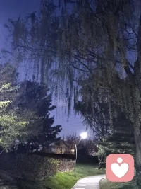 亲子关系，应该是双向奔赴，彼此滋养的。单方面的 供给、索取或者理所当然的付出，到头来都可能是一场灾难！配图