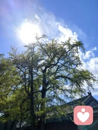 早
人生不必急于争辩对错，生活也不必时刻寻求答案，不妨将选择交给时间，把结果托付给成长。很多东西，让时间说话，对了最好，错了就是经历。
时间会默默筛选答案，
岁月会温柔沉淀释然。配图