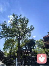 想快乐，咱就知足点，想欢笑，咱就开心点，心若简单，事事皆安，人若知足，天天皆暖，与其皱着眉，不如乐呵呵。
简单点，糊涂点，快乐点，
一切都是刚刚好！