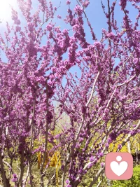 当我们愿意停下脚步，用心关照自己与家人的感受时，
关系里的摩擦、卡点与误解，就会在温暖的看见中慢慢化解！