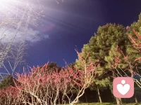 面对孩子的负面情绪，先接住，再引导。

孩子被老师批评、和同学闹矛盾、写作业被催促，心里藏满了委屈、愤怒、无助。
这时候，我们要做的不是讲道理，而是先让他知道：“不管发生了什么，妈妈永远站在你这边。”