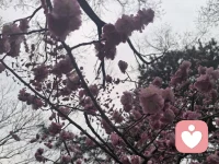 想让谁对你好，就让谁为你付出，谁为你投入的成本越高，谁对你越好！仔细想想，真是这样的。