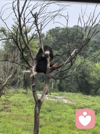 夫妻之间，如果哪一方先去学习了，感觉自己成长了，就想着帮助对方去纠正偏差，或者想把自己学到的东西输出给对方，骨子里想改变对方和自己同频共振，这大概率会引起对方的反感，引发新的矛盾。因为你想教别人，想改变别人，别人体会到的就是被控制，被说教，感觉相当不爽。你只能用自己的行为，慢慢地去影响对方，潜移默化的让对方主动改变。