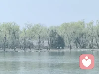 和家里10岁以上的孩子沟通，如果某件事孩子已经答应去做，你就不要反复去催或者因为孩子没行动，你就主动去做，回头还去抱怨孩子。做与不做是孩子的事情，与家长没关系，碗没洗，那就下顿吃饭时让他洗，衣服泡在盆里，泡烂了也与你没关系，家长要做的就是沉住气，不唠叨。配图