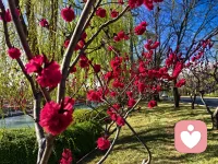 人要是一直待在舒服区里不愿出来，慢慢就会习惯现状，不想动、不想拼，稍微累一点就想退缩，有点压力就想逃避。
 
真正能往上走的人，都会主动去碰那些难的、棘手的事，去做自己应该做、却又有点害怕的事。

越是有挑战，越能逼着自己成长，扛过去一次，就优秀一分。配图