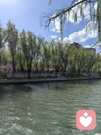 不困于一时得失，不乱于旁人闲语，以稳应变，以静养心，在岁月里沉淀，在前行中升华，真正赢在情绪，胜在格局，活出从容自在的人生！配图