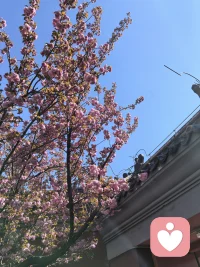 “正念对无数精神疾病、身心症状和压力相关症状都有治疗效果，包括：

抑郁；
长期疼痛；
躯体健康问题，如免疫系统、血压和压力激素水平；
激活大脑中有关情绪调控的部位；
改变大脑中负责身体感知和恐惧的部位；
降低大脑烟雾探测器杏仁核的活跃程度，从而降低对于潜在刺激的反应”。配图