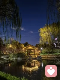 🌿岁月成长不代表内心成熟，放下童年期待的向外投射，在情绪废墟上重建内心城堡。真正的疗愈从不是抹去伤痕，而是带着伤疤从容前行。配图