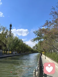 真正的智慧，是看透事物本质的能力。
不被表面现象迷惑。

比如，当你感到焦虑时，看看背后的恐惧是什么；

当你评判别人时，看看自己的投射是什么，

智慧不是知识，是生活中的觉察和领悟。配图