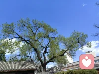 凡事发生，必有其目的；
凡事发生，皆有利于我；
凡事发生，都是我的责任；
凡事发生，即成过往。
学会接纳，人生处处都有转机；
懂得感恩，美好终会慢慢显化。
慢慢来，稳一点，别着急，一切都是最好的安排配图