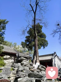 最好的人生状态就是：
不管你多少岁，有多少财富，
你依旧坚持和努力，
活成你最喜欢的样子！！！配图