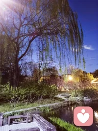 荣格║当你真正走出爱而不得，你将获得一种常人无法驾驭的终极天赋─神圣的冷漠

你是否曾在深夜里，流了无尽的眼泪，反复咀嚼一个爱而不得的人？

你在卑微与不甘中反复拉扯。哭着说“我爱他，他却伤害了我”
 但真相是：真爱里，从来就没有伤害。

荣格说：向外看是在梦中；向内看才会觉醒。

爱而不得，就是命运强行把你从梦中踹醒的那一脚。

当你真正熬过那场灵魂的绞痛，走出爱而不得的泥潭，你将获得一种常人无法驾驭的终极天赋

——荣格称之为“神圣的冷漠”。配图