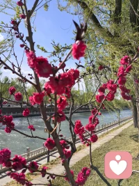 养福咒
 我就是命好！
 我每天都充满快乐与幸福！
 我做啥成啥我想啥来啥！
 我跟谁结婚，谁家就过得好！
 我就是旺人，旺财，旺家宅！
 家庭富贵兴旺，全家身体健康！
 我这辈子就没有吃苦的命！
 离开我的和伤害我的都是克我的，就该被我扔掉！
 我的内心宁静，生活充满爱与光明！
 你不开心和我没关系！
 我从不精神内耗，烦恼都往外倒！
 吾日三夸吾身：我漂亮、三观正、教养好！
 我就是那个天选的好运之女！
 钱来，福来！
 金钱、好运和福气都会流向我！配图