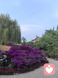 🌹成长贵在认清自己，戒除傲慢，常怀谦卑。认知只是地图，践行方得收获，在合道环境中浸泡，做到一手接爱、一手传爱。配图