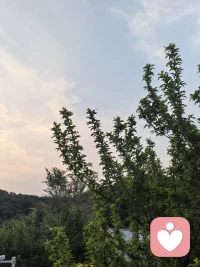❤️我们总在岁月里向外求索，追着光与暖，盼着圆满与安稳

🌼却不知真正的力量，从来不在远方，而在心底深处

🌳静下心来，褪去浮躁与喧嚣，向内扎根、向内探寻

✨不必向外借光，你本身就是光

守住本心，便能活成自己最富足的模样配图