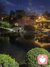💓真正的智慧，是看透事物本质的能力。

✅怎么做：
多问自己“这是真的吗？”，不被表面现象迷惑。

比如，当你感到焦虑时，看看背后的恐惧是什么；

当你评判别人时，看看自己的投射是什么。

智慧不是知识，是生活中的觉察和领悟。配图