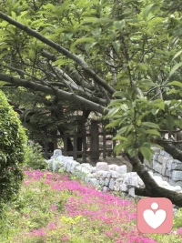 如何对自己善良？有两种方式：等别人对自己好，这是被动的；自己付出，对他人好，感动他人，顺便也感动自己，这是主动创造幸福，自己来把握幸福主动权。配图