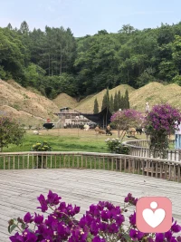 我们愿意得到一份被呵护终身的承诺，还是更愿意被教会独立行走？我们愿意把命运的方向盘握在自己手里，还是更愿意交给别人呢？配图