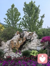 爱自己
1、爱自己，爱的不是肉体，是本来的不生不灭，不垢不净，不增不减的那个自己。
2、爱自己，就是细心呵护好自己会呼吸的身体，不要使他受到任何的损害，因为这个身体是生命修炼的载体。
3、爱自己，就是无条件的接纳自己的所有，无论是如意还是不如意。
4、爱自己，就是允许不舒服、不痛快以及那些负面的情绪流过自己，如同一阵轻风拂过，不留一丝痕迹。
5、爱自己，就是让已经过去的就只是留在过去，当下的生活不受它的牵引和羁绊。
6、爱自己，就是宽恕所有的一切，让被宽恕的只在那里，不在这里。
7、爱自己，就是放开攫住自己的念头，让念头如天上的云朵，飘然而去。
8、爱自己，就是不贪恋外界的认同，让自己不活在被认同的圈圈里。
9、爱自己，就是默默地做自己本分的事情，只是陪伴和付出，不祈求任何的回报。
10、爱自己，就是不把自己封闭在小小的自我里，敞开心门，全然地接受看到、感受到的这个世界。
11、爱自己，就是无分别、不评判、不期待，全神贯注在当下所做的每一件事情里。
12、爱自己，就是看，只是看，让一切流过自己。
13、爱自己，就是对自己的一切负起责任，不活在原因、理由、借口里。
14、爱自己，就是时刻记得自己、知道自己，让自己的心静静地在那里。
15、爱自己，就是完全地认同自己、肯定自己，欣赏、赞美自己是独特的生命。
16、爱自己，就是放松自己，让自己不受外界环境以及评判的影响。
17、爱自己，就是完完全全地相信自己是最好的，用充满爱意的目光打量自己、用温柔的手轻轻地抚摸自己。
18、爱自己，就是活出内心深处想要活出的那个自己，让自己时刻活在轻松、自然、平静、自在、喜乐里！配图