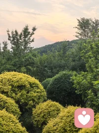 感恩生命里遇到的所有人和事
一切发生都有利于我🙏配图
