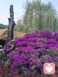 说的太好了：
 
“人生啊，哪有什么两全之策，
短短百年，不过是教人取舍罢了。
手持烟火以谋生，
且停，且忘，且随风；
且行，且看，且从容。
人字有两笔，
一撇写前半生，一捺写后半生，
前半生写执着，后半生写释怀！
生活一半烟火，一半清欢，
人生一半清醒，一半释然，
不念过往，不畏将来，
愿今后的日子，阳光清澈，
世事皆温柔。〞配图