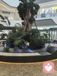 人生五感，皆是美好。用眼遇见风光，用耳聆听欢喜，用心品味烟火，伸手拥抱温暖，鼻间轻嗅生活芬芳。用心感受每一份细碎温柔，不负当下，不负时光。配图