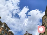 好的关系，是两棵树并肩而立。不必借他人的光芒证明自己，我们本就完整且值得被爱。内心丰盈安稳，再去真诚相伴，不依附、不索取，彼此温暖，自在同行。配图
