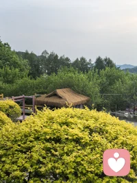 如何拥有健康的关系？“健康的关系，不是你苦苦找到的，它是当你成为一个健康、完整、自洽的人之后，生命自然为你呈现的风景；当你不再寻找一个让你小鸟依人的臂弯，而是专注伸展自己的翅膀时，你会发现：整片天空都是你的依靠，而爱，不再是你抓住的救命稻草，而是你飞翔时，翅膀下无尽承托的自由的风。”配图