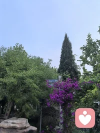 爱，不是一场力量的比拼。能撒娇的时候，何必一定要硬扛呢？撒娇不是示弱，而是一种信任和情感的流动。当你不再用“气呼呼”的付出来索爱，而是能坦然：我需要你帮帮我，你会发现关系的质感就截然不同了，幸福感自然也来了。配图