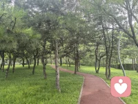 要理解任何一种应对姿态，我们必须引入萨提亚的“沟通三角”模型。一个一致性的沟通（Congruent Communication）需要同时兼顾三个要素：

自我（Self）：我的感受、需求、观点。
他人（Other）：对方的感受、需求、观点。
情境（Context）：当下的环境、背景、客观事实。配图