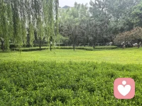 在沟通的三要素中，指责者的运作模式如下：

自我（Self）：被过度强调。指责者必须证明自己是对的，以维持岌岌可危的自尊。
情境（Context）：被关注。他们通常会引用规则、逻辑或现实情况来作为指责的武器（例如：“现在的规定就是这样，你为什么做不到？”）。
他人（Other）：被抹杀。对方的感受、观点和价值在指责者眼中是无关紧要的，甚至是被视为敌对的。配图