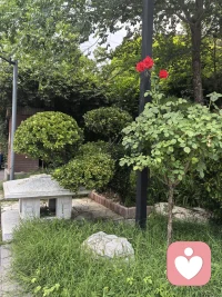 真正的成熟不是一直飞在天上，而是飞累了能够坦然地降落，承认自己需要休息和安慰。