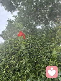 用微笑来面对人生中的每时每刻！