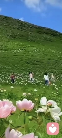 倾听你的故事，我会耐心陪伴配图