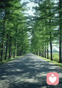 我们每个人，都是独一无二的小星球，
都在悄悄渴望——被听见，被懂得，被稳稳地接纳。
 
如果你是一棵树，
不必非要成为栋梁，
哪怕安静地长在林间，
无论有用无用，
你都有属于自己的、独一无二的生长意义。
 
愿你所有情绪都有归处，
愿你不必逞强，
也能被这个世界温柔以待。