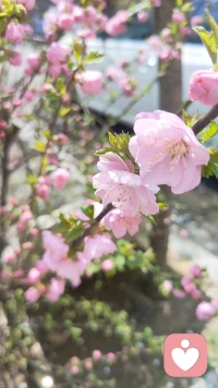 每个人今生都只活一次，要开开心心的做自己