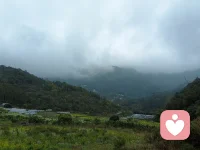 就像这片山林，历经风雨！依然从容伫立！
我是倾听师汐瑶！也在这里做你最安稳的情绪后盾！
不必急着拨开云雾！我会陪着你！慢慢把心事理顺！把日子过成想要的模样！
这里是汐瑶的倾听空间，欢迎随时来找我聊聊！