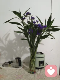 生活再忙！也别忘了给自己留一束温柔！
我是汐瑶！一个懂你的倾听师！
如果你心里有委屈！有烦恼！有说不出的情绪！
难过！迷茫！没有人理解的时候！
记得来找我！我安静听你说！陪你慢慢走出来！