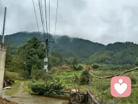 山有雾！心有情！
再浓的雨雾！也挡不住太阳的升起！
再难的当下！也终会雨过天晴！
