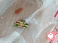 美味与美满一样，慢慢品尝！配图