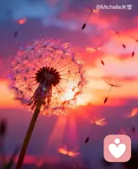 往外张望的人在做梦
向内审视的人
才是清醒的配图