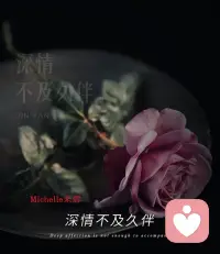 深情不必张扬，
久伴便是答案。
愿有人懂你悲欢，
知你冷暖，
陪你走过岁岁年年。配图