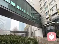 赶上了京城的最后一场雪
接下来
应该春暖花开了配图