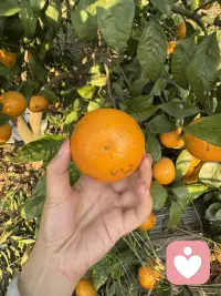 新的一年，愿你事事顺心，平安喜乐～