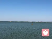 可以打大度的原谅别人，但切勿愚蠢的再去相信，可以不记仇，但不可以不长记性。良心这个东西有就是有，没有就是没有，不存在唤醒！树坏在根，人坏在心，永远不要问原因。你有不伤别人的教养，却缺少一种不被不被人伤害的气场，若没有人护你周全，就请以后善良中带点锋芒为自己保驾护航配图