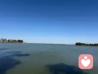 可以打大度的原谅别人，但切勿愚蠢的再去相信，可以不记仇，但不可以不长记性。良心这个东西有就是有，没有就是没有，不存在唤醒！树坏在根，人坏在心，永远不要问原因。你有不伤别人的教养，却缺少一种不被不被人伤害的气场，若没有人护你周全，就请以后善良中带点锋芒为自己保驾护航配图
