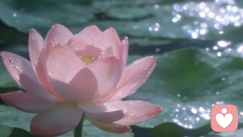 别让情绪,悄悄熬坏了你\n?\n别让情绪,悄悄熬坏了你\n\n