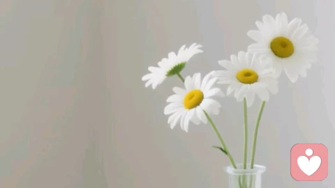 最好的夫妻关系：久处不厌，闲谈不烦\n