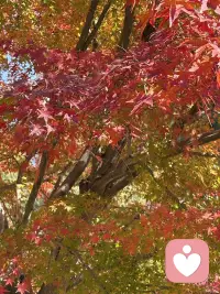 在这个世界里一定要好好爱自己，去想去的地方，见想见的人